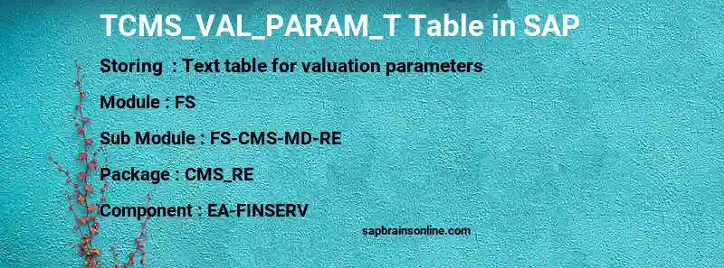 SAP TCMS_VAL_PARAM_T table
