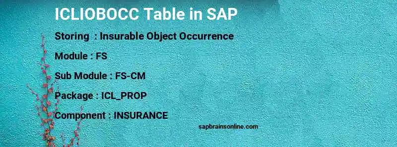 SAP ICLIOBOCC table