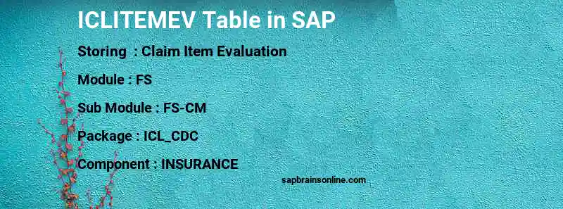 SAP ICLITEMEV table