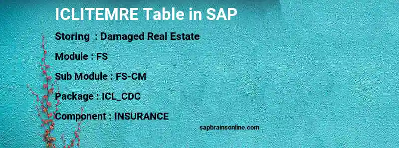 SAP ICLITEMRE table
