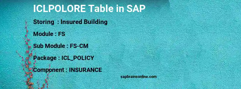 SAP ICLPOLORE table