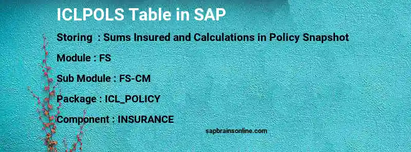 SAP ICLPOLS table
