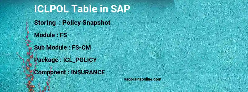 SAP ICLPOL table