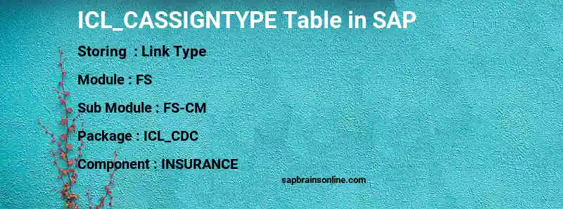 SAP ICL_CASSIGNTYPE table