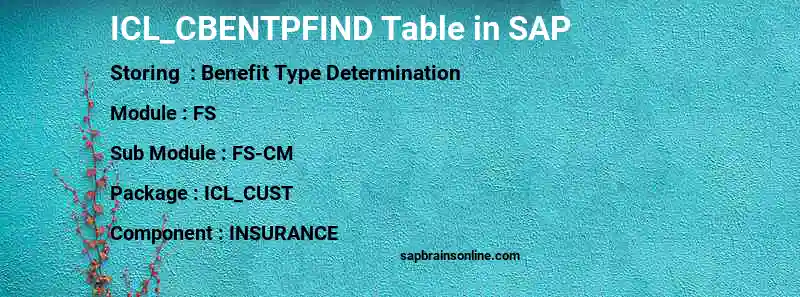 SAP ICL_CBENTPFIND table