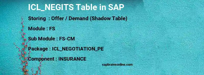 SAP ICL_NEGITS table