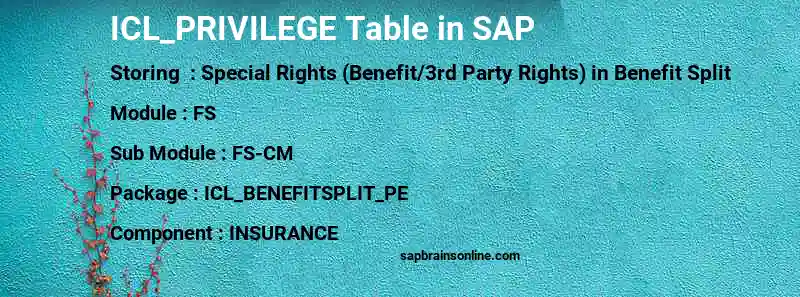 SAP ICL_PRIVILEGE table