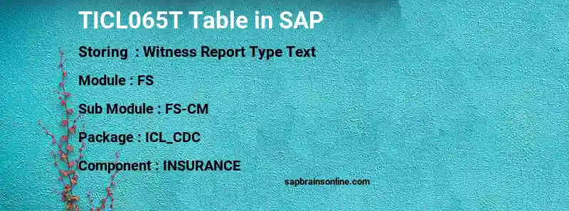 SAP TICL065T table