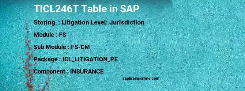 SAP TICL246T table