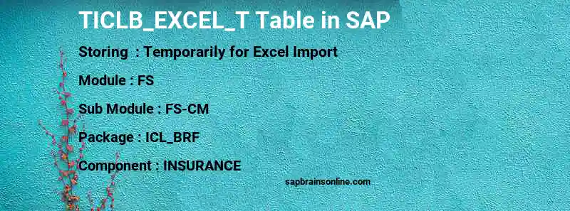 SAP TICLB_EXCEL_T table