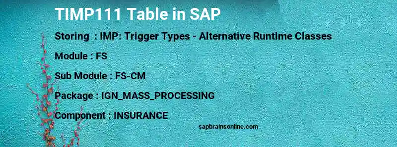 SAP TIMP111 table