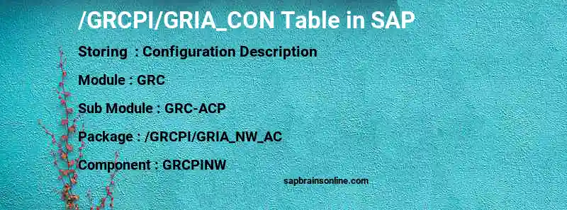 SAP /GRCPI/GRIA_CON table