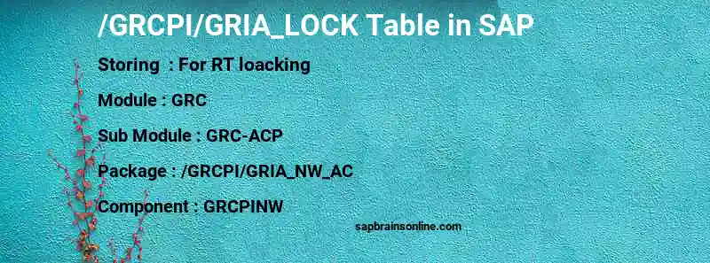 SAP /GRCPI/GRIA_LOCK table