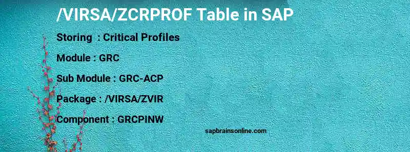 SAP /VIRSA/ZCRPROF table