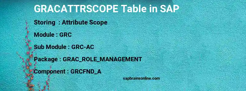 SAP GRACATTRSCOPE table