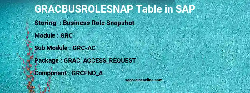 SAP GRACBUSROLESNAP table