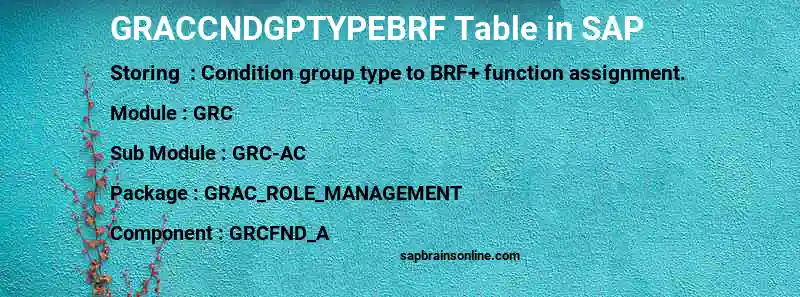 SAP GRACCNDGPTYPEBRF table