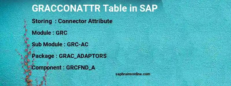 SAP GRACCONATTR table