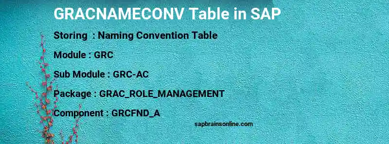 SAP GRACNAMECONV table