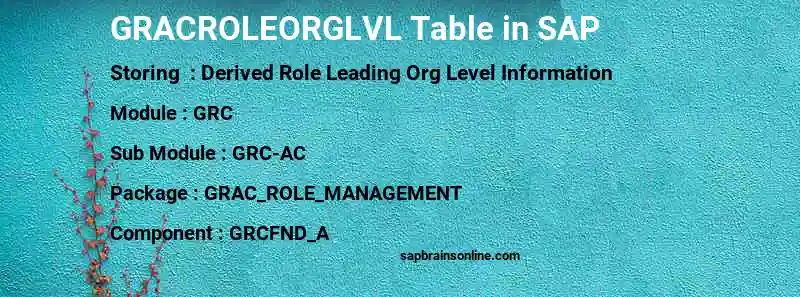 SAP GRACROLEORGLVL table