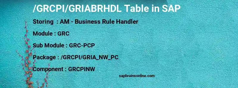 SAP /GRCPI/GRIABRHDL table
