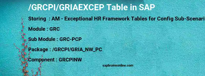 SAP /GRCPI/GRIAEXCEP table