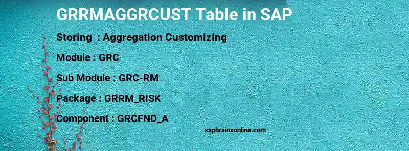 SAP GRRMAGGRCUST table