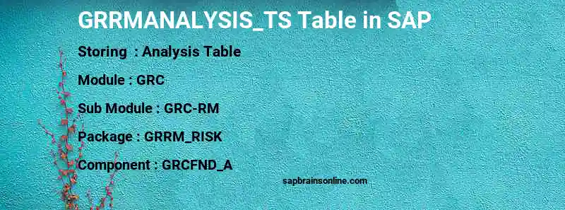 SAP GRRMANALYSIS_TS table