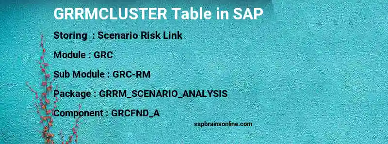SAP GRRMCLUSTER table