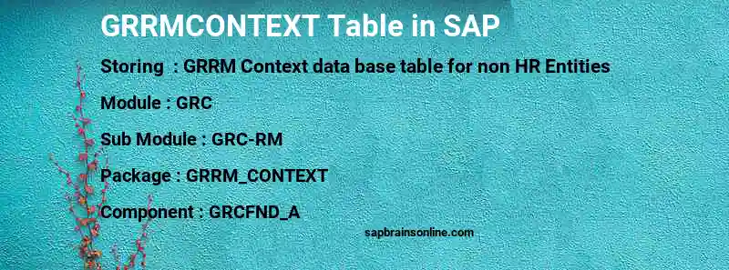 SAP GRRMCONTEXT table