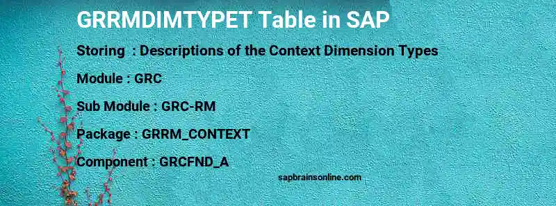 SAP GRRMDIMTYPET table