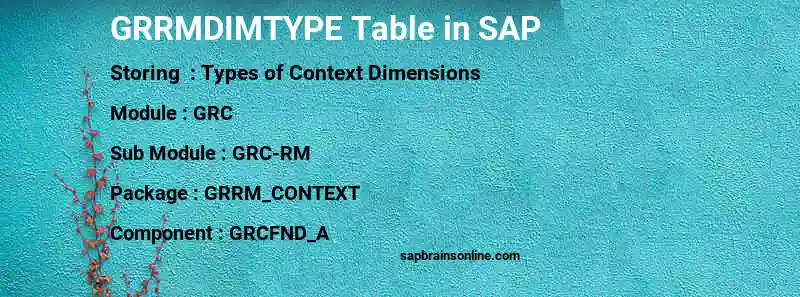 SAP GRRMDIMTYPE table