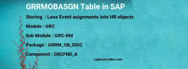 SAP GRRMOBASGN table