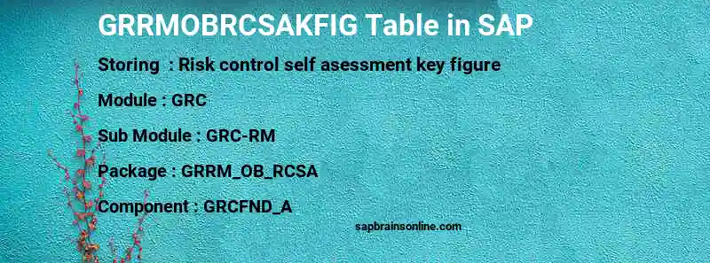 SAP GRRMOBRCSAKFIG table