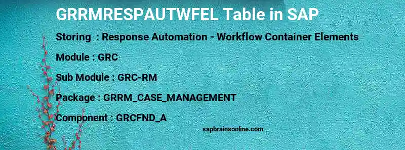 SAP GRRMRESPAUTWFEL table