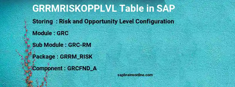SAP GRRMRISKOPPLVL table