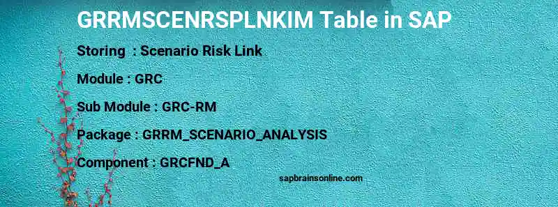 SAP GRRMSCENRSPLNKIM table