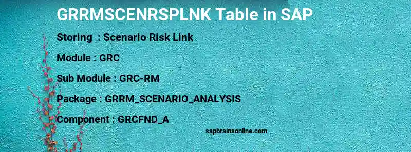 SAP GRRMSCENRSPLNK table