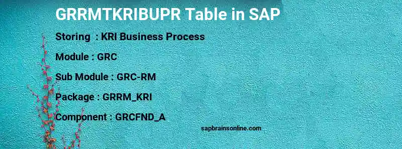 SAP GRRMTKRIBUPR table