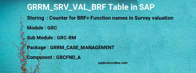 SAP GRRM_SRV_VAL_BRF table