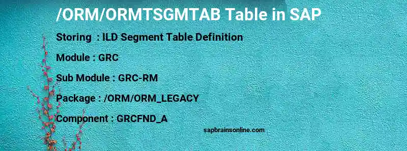SAP /ORM/ORMTSGMTAB table