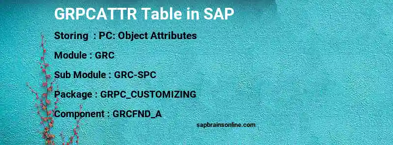 SAP GRPCATTR table