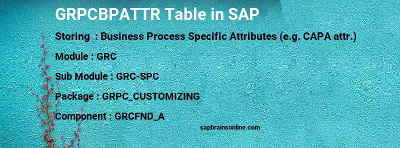 SAP GRPCBPATTR table