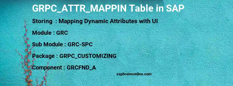 SAP GRPC_ATTR_MAPPIN table