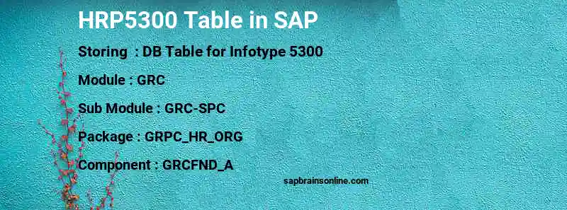 SAP HRP5300 table