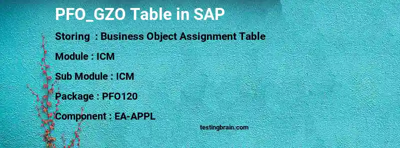 SAP PFO_GZO table