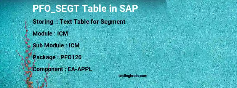 SAP PFO_SEGT table