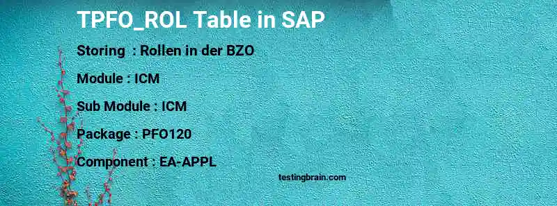 SAP TPFO_ROL table
