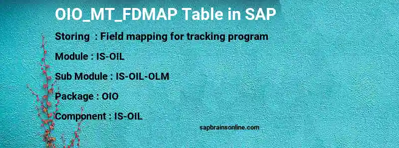 SAP OIO_MT_FDMAP table