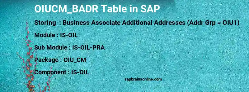 SAP OIUCM_BADR table